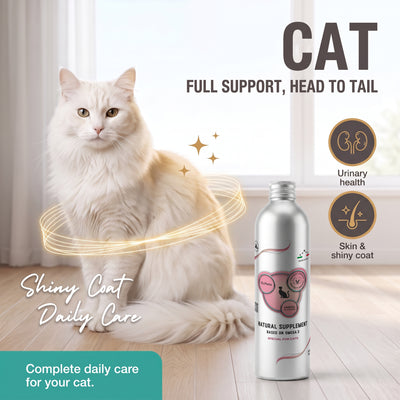 Immune Support Cat