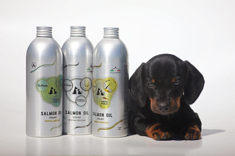 About the Company: O2Pets — Italian Quality and a Global Academy