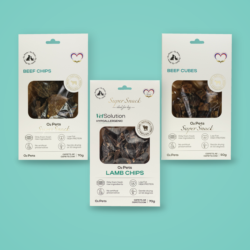 Gourmet Variety Box for Medium & Large Dogs