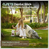 Dental Stick, 100g