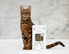 Beef Croutons For Cat, 30g