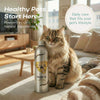 Natural Supplement Based on Omega-3 SKIN For Cat