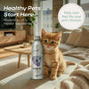 Natural Supplement Based on Omega-3 for Kitten