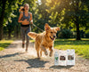 Support for Movement and Energy Bundle: Natural Joint Supplement + Fish Chips + Beef Strips