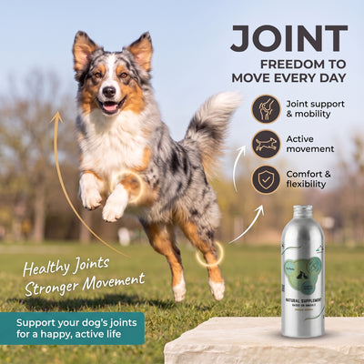 Joints Dog