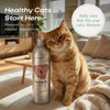 Natural Supplement Based on Omega-3 for Cats