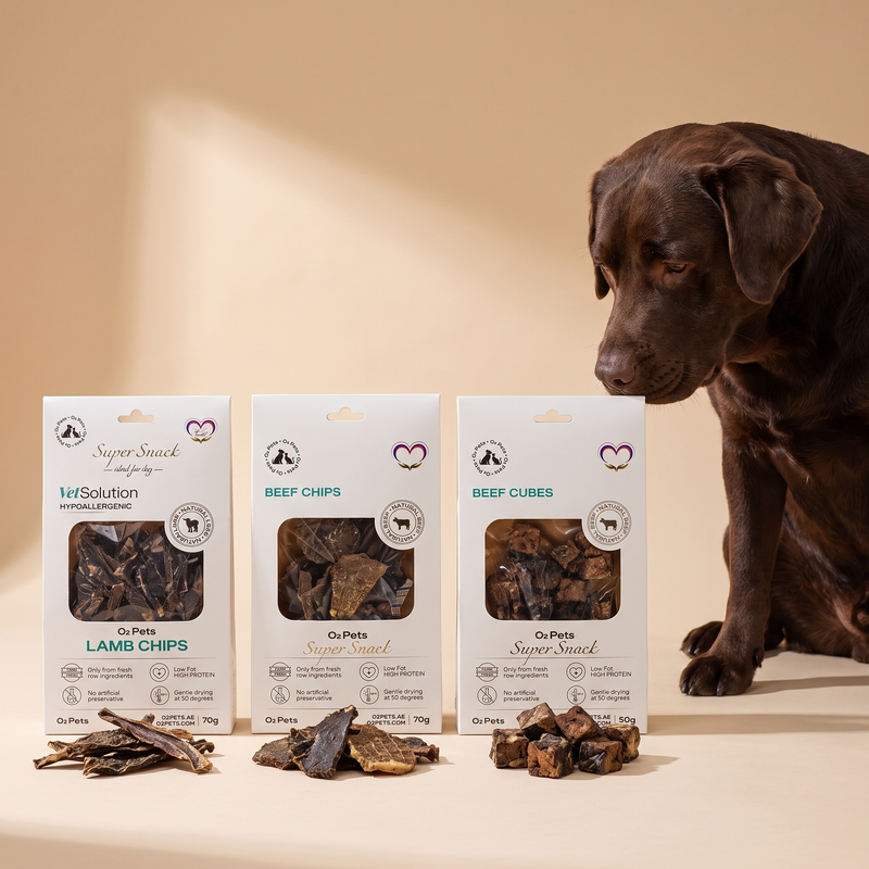Gourmet Variety Box for Medium & Large Dogs