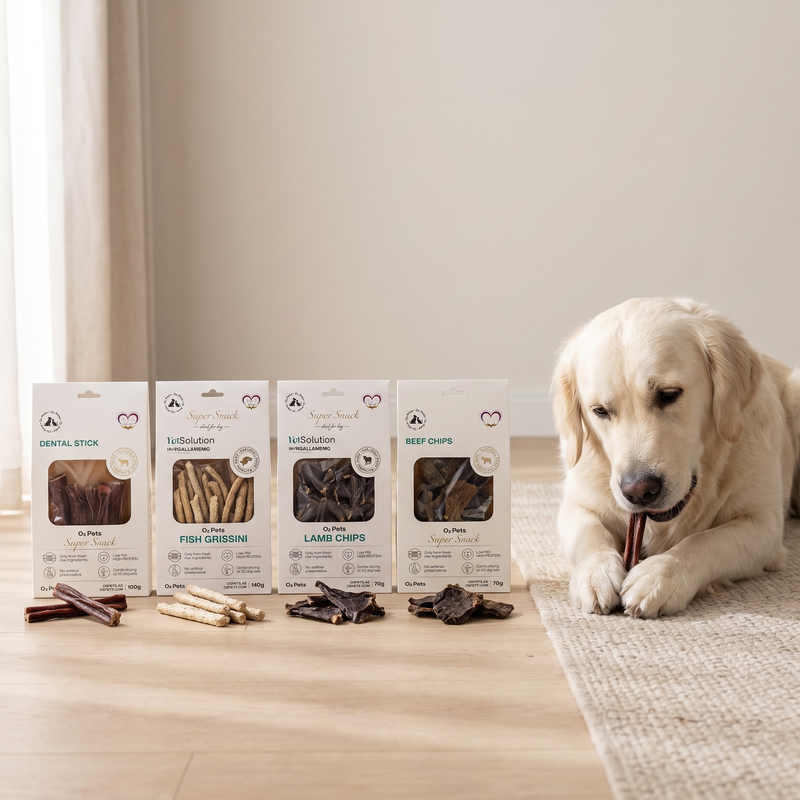 Calm & Care Chewing Box