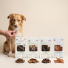 Ready-to-Train Treat Combo for Dogs