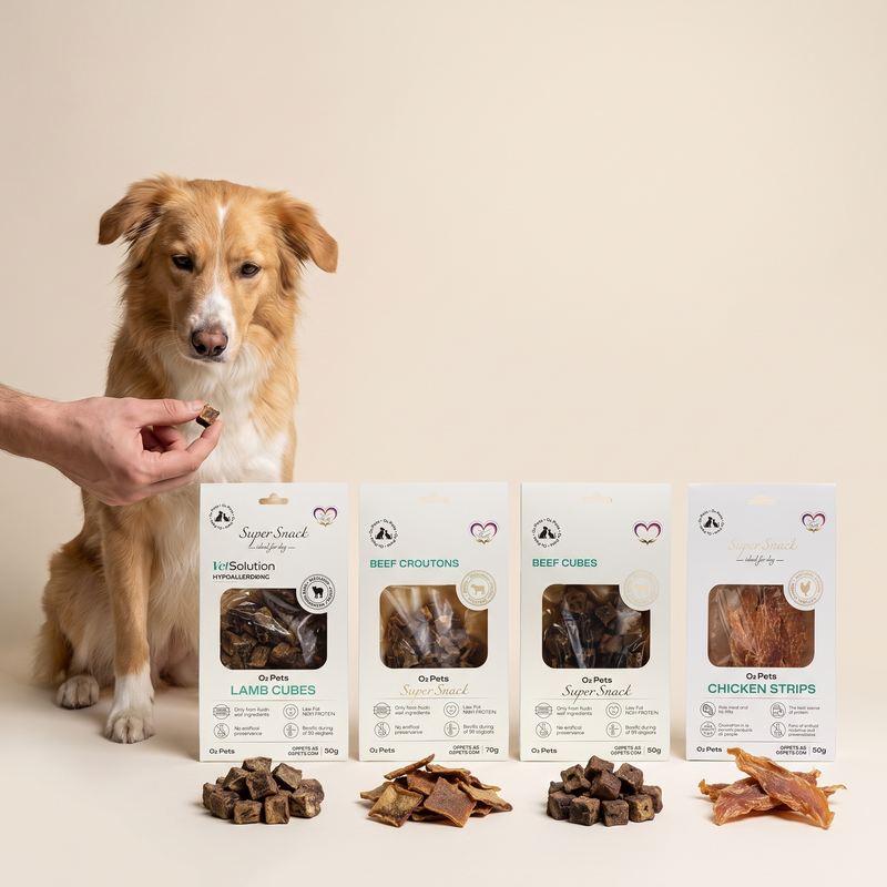 Ready-to-Train Treat Combo for Dogs