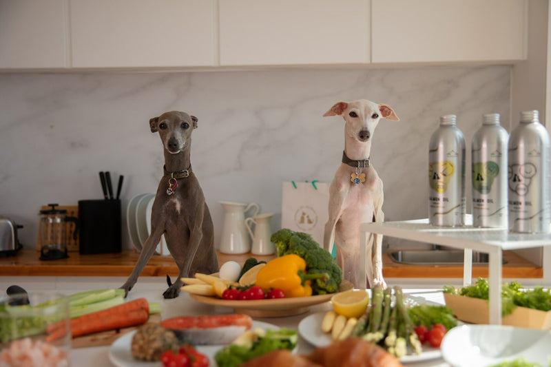 For veterinarians, nutritionists and clinical nutrition specialists