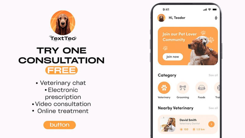 Textteo