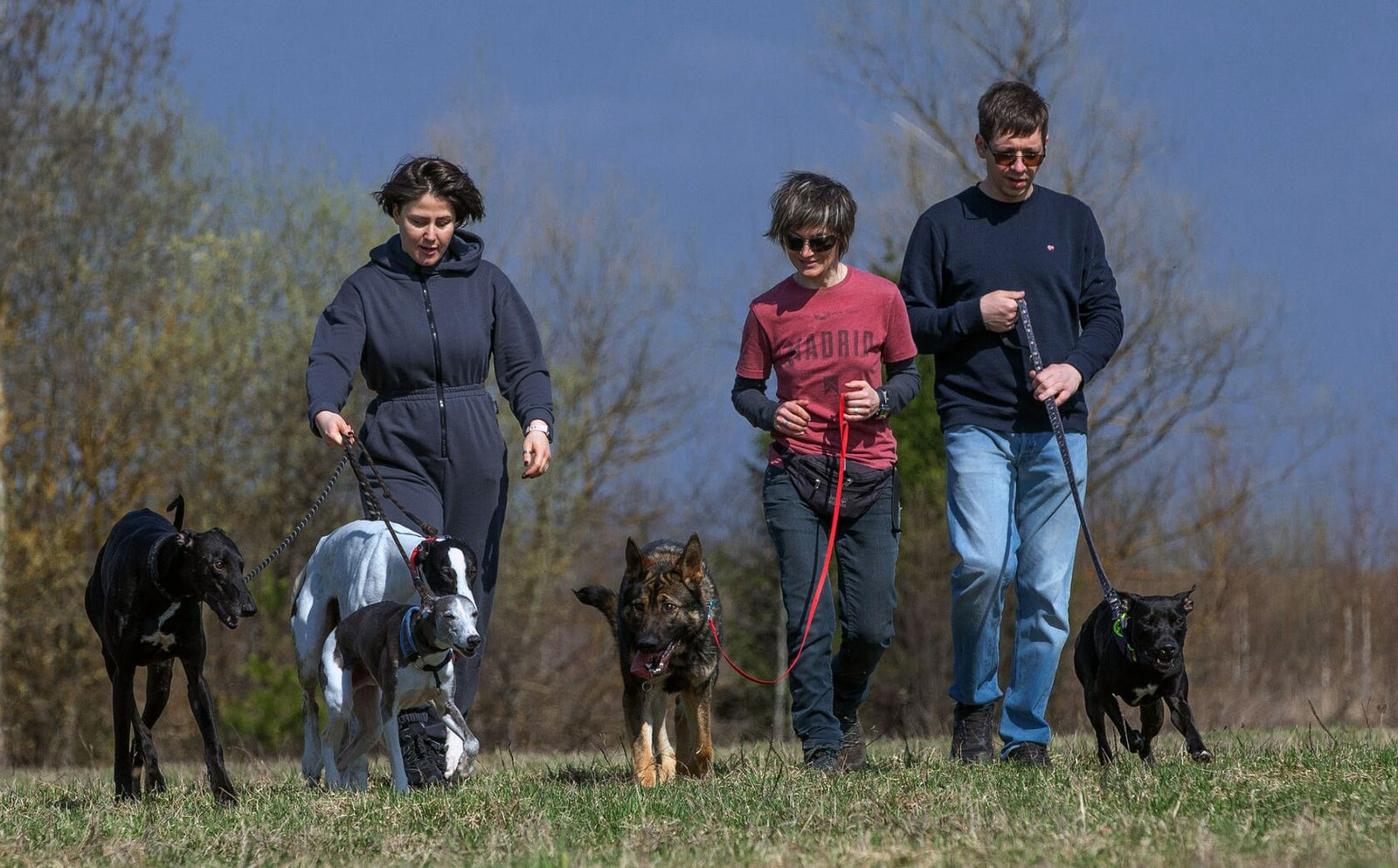 Hi, we are the О²Pets team