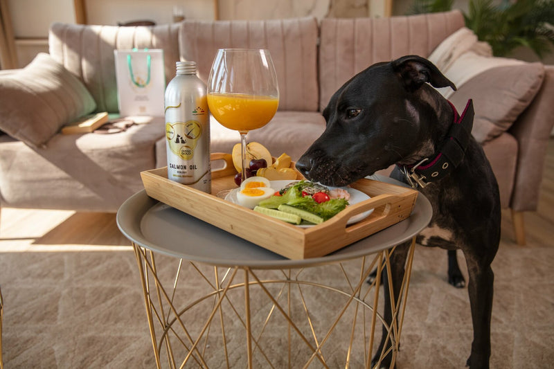 For owners of kennels, clubs and breeders
